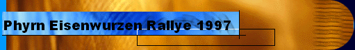 Phyrn Eisenwurzen Rallye 1997